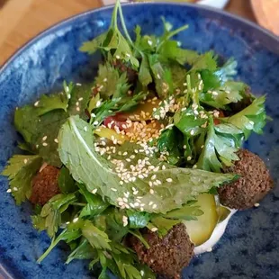 Falafel small plate.