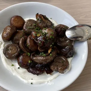 Mushroom Kapnista