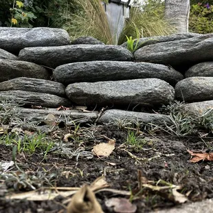 Pretty rock garden that I discovered on my walk to the restaurant