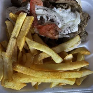 Gyro combo with Greek fries