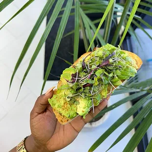 Avocado Toast
