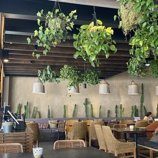 Tacos de Pescado Ensenada