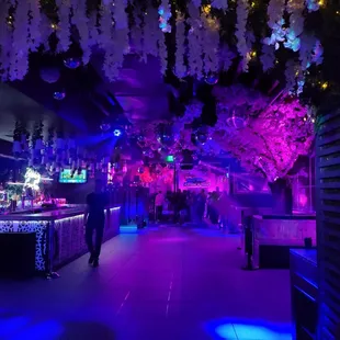 purple and blue lighting