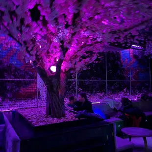 people sitting under a tree