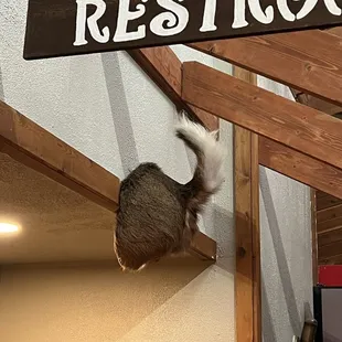 An unusual restroom sign. Pretty funny.