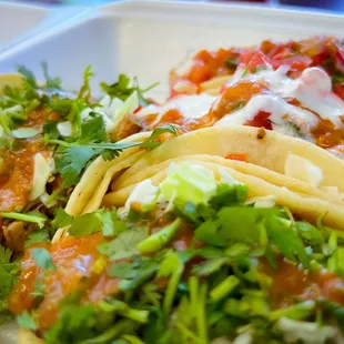 Pollo, beef, fish and shrimp tacos