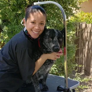 Zee grooming Max the blue heeler