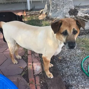 Molly after her groom
