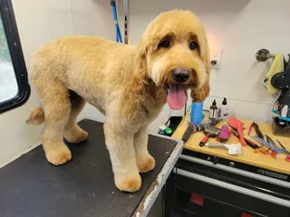 Embie's Pet Grooming