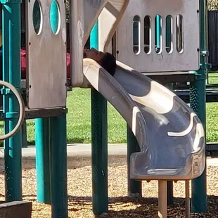 Homeless Guy Sleeping On The Slide