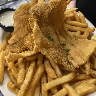 Fried catfish
