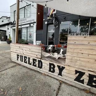 two dogs sitting in front of a coffee shop