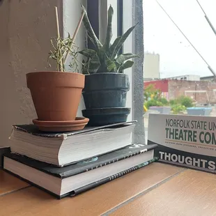 Cute plants thriving around the store c: