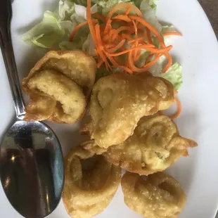 Fried Cheese Wontons