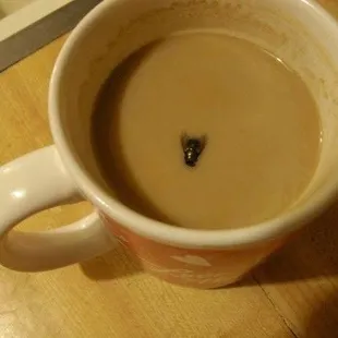 soups and chowder, drink