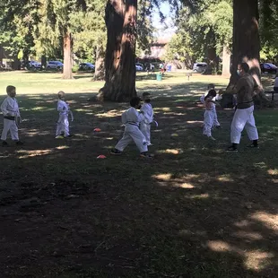 Zen Martial in the Park
