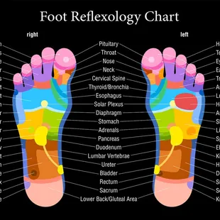 Reflexology