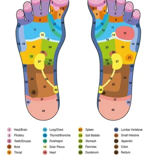 Reflexology