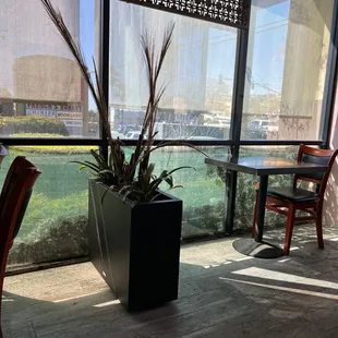 Insight of restraint