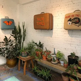 More plants