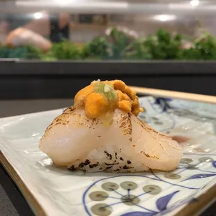 Scallop/Uni