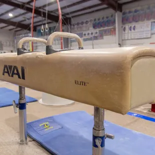 One of Zenith's Pommel Horses