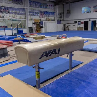 Zenith's Pommel Horse Area