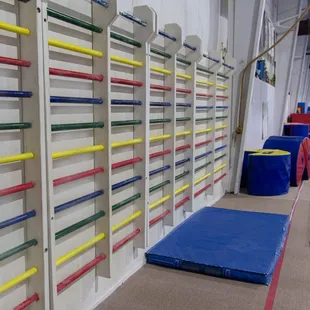 Zenith's Stall Bars great for conditioning and strength training