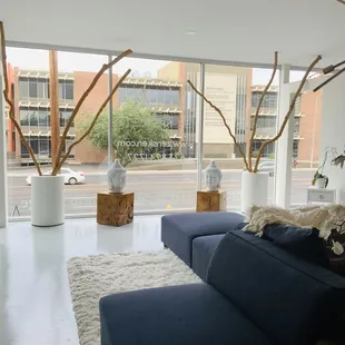 Zensken Medical Aesthetics PLLC