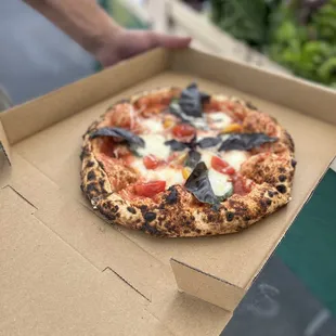 Margarita pizza with purple basil