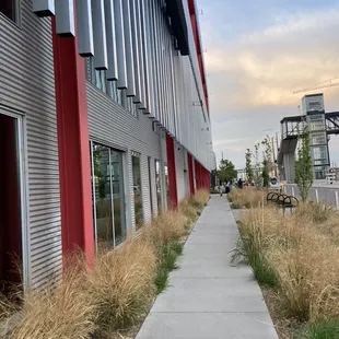 a walkway between two buildings