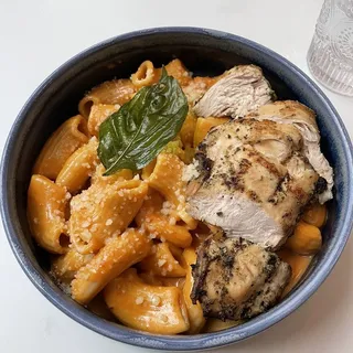 Rigatoni Pasta Rigatoni Alla Vodka