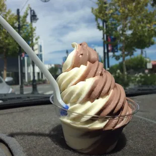 Regular vanilla/chocolate swirl