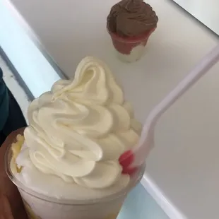 Blackberry Artic Combo