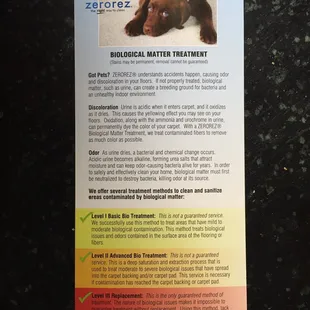 Pet stain cleaning information