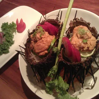 Sea Urchin