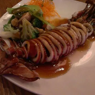 Squid