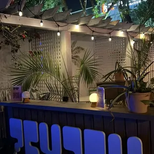 a bar with lights and plants