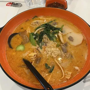 Mild Bone Broth Soup