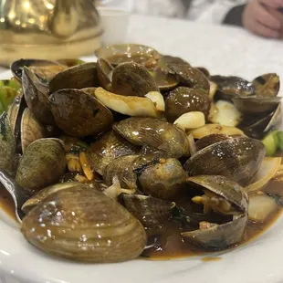Clams