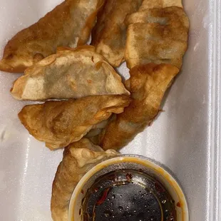 Fried Dumpling