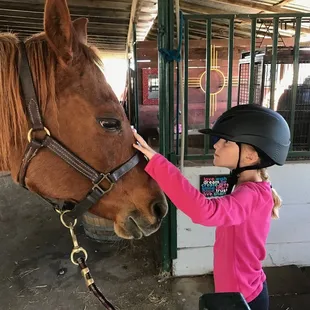 Jenna LOVES these horses