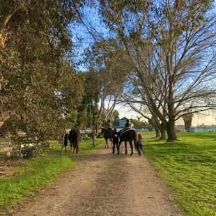 Just a gorgeous day after the trail