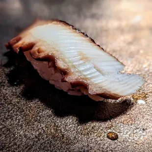 a piece of fish on the ground