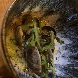 Clams