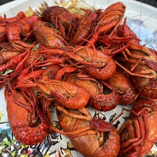 Crawfish