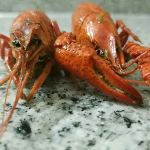 Crawfish on the loose.