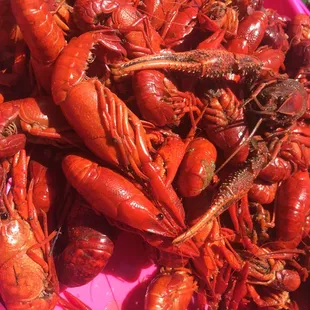 Zimmer&apos;s Crawfish $2.99lb (May 2017) Delicious but really missed having corn, potatoes, sausage, etc. in the boil.