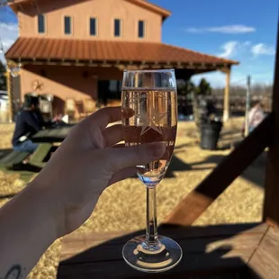 a hand holding a glass of wine