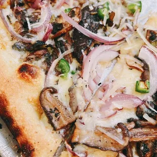 Funghi Pizza